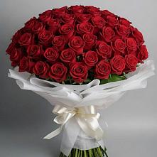 Букет 101 Красная роза Блэк Мэджик в Борки Новгородская область