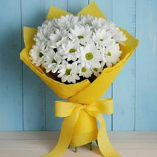 Букет цветов из:  Хризантемы в Борки Новгородская область