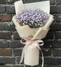 Букет цветов из:  Гипсофила в Борки Новгородская область
