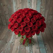 Букет 55 Красных роз Фридом #REPLACE_PRED# Борки Новгородская область