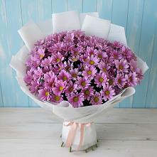 Букет цветов из:  Хризантемы в Борки Новгородская область