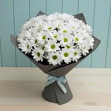 Букет цветов из:  Хризантемы в Борки Новгородская область