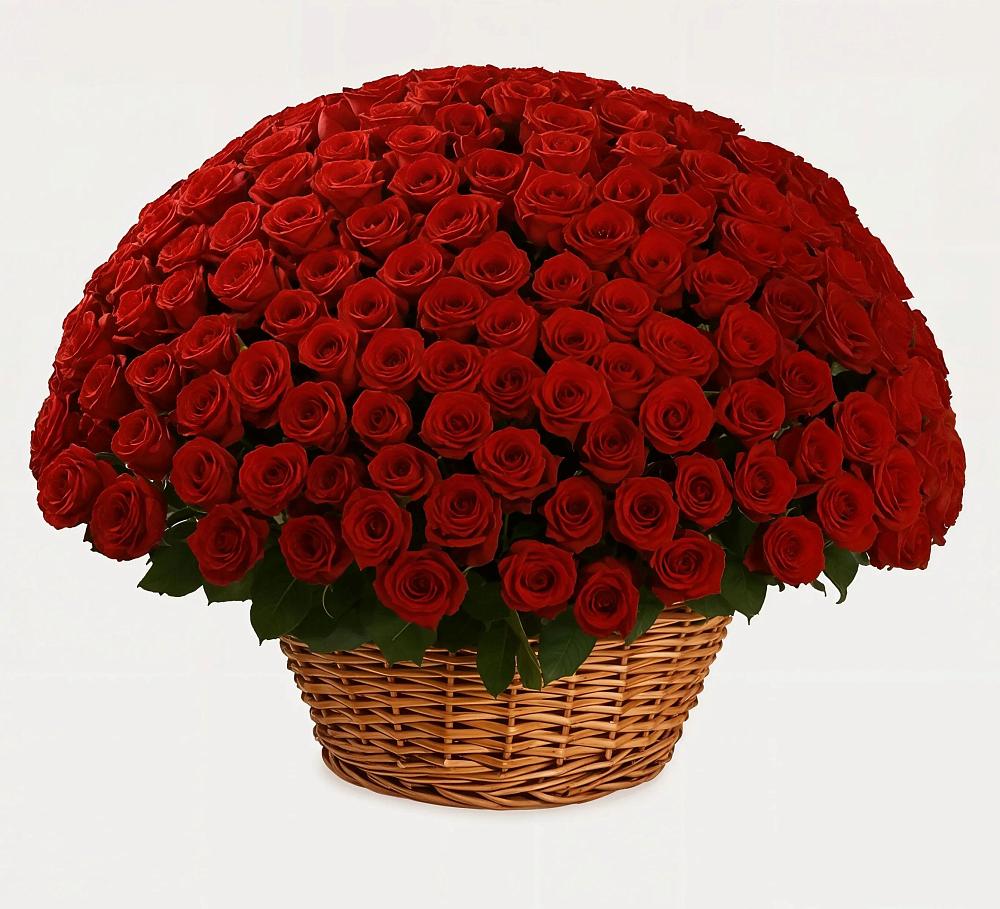 Премиум букет из: Розы в Борки Новгородская область