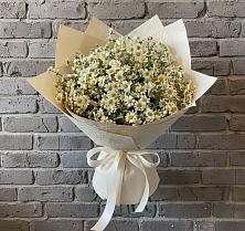 Букет цветов из:  Ромашки в Борки Новгородская область
