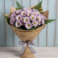 Букет цветов из:  Хризантемы в Борки Новгородская область