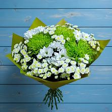Букет цветов из:  Хризантемы в Борки Новгородская область