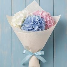 Букет цветов из:  Гортензия в Борки Новгородская область
