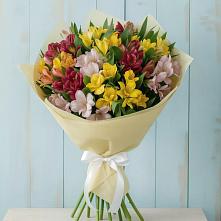 Букет цветов из:  Альстромерии #REPLACE_PRED# Борки Новгородская область