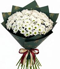 Букет цветов из:  Хризантемы в Борки Новгородская область