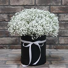 Цветочная композиция из Гипсофила в шляпной коробке в Борки Новгородская область