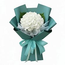 Букет цветов из:  Гортензия #REPLACE_PRED# Борки Новгородская область